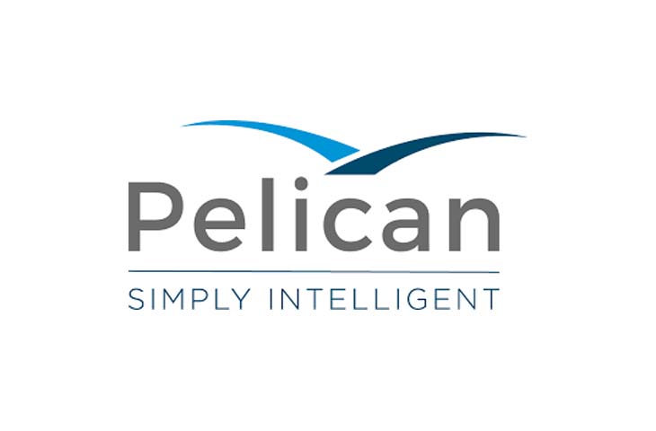 Pelican Beta API Interoperable Hub Platform Goes Live - PaymentsJournal