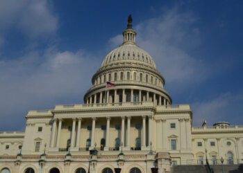 credit-card fraud heinous crime