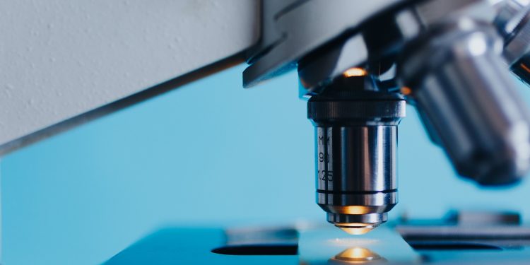 debit industry study