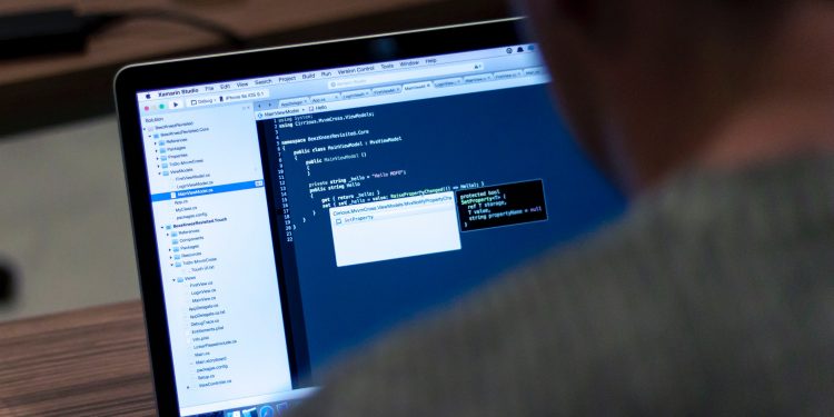 A New Life For Visa API Portal, Visa Next