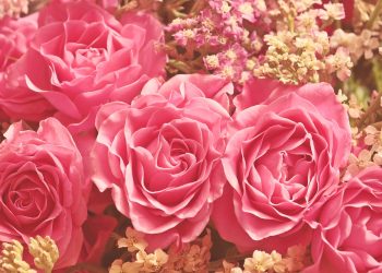 The Pink Credit Card: You Must Be Kidding