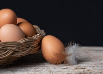 The Chicken or the Egg: Should You Automate P2P or Payments First?