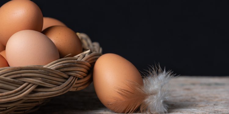 The Chicken or the Egg: Should You Automate P2P or Payments First?
