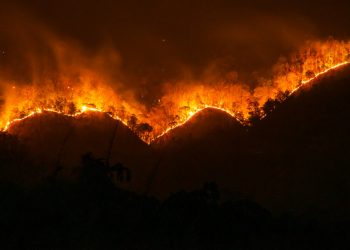 Managing Donations During Natural Disasters With Prepaid Cards