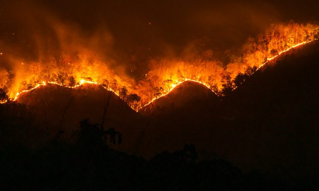 Managing Donations During Natural Disasters With Prepaid Cards