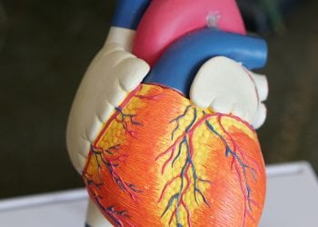 Ascend Federal Credit Union, Employees Raise $1,150 for the American Heart Association’s Go Red for Women Campaign