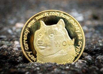 Dogecoin: A Journey from Meme to the Moon - PaymentsJournal