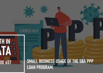 Small Business Usage of the SBA PPP Loan Program: