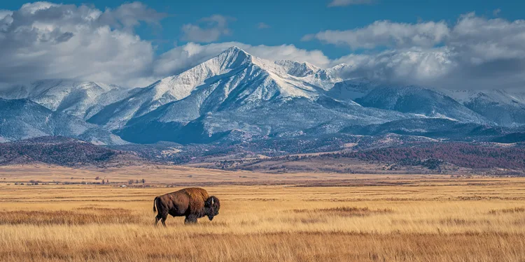 Wyoming’s Stablecoin Debuts for the General Public